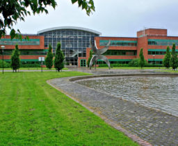 University of Limerick Courses