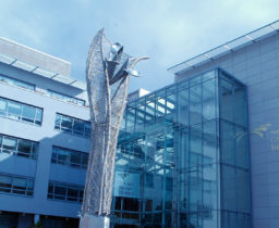 National College of Ireland Courses