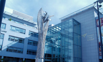 National College of Ireland Courses